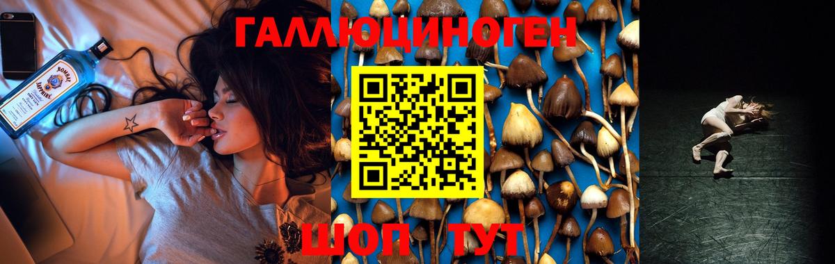 Псилоцибиновые грибы прущие грибы  Вход с VPN  Стрежевой 